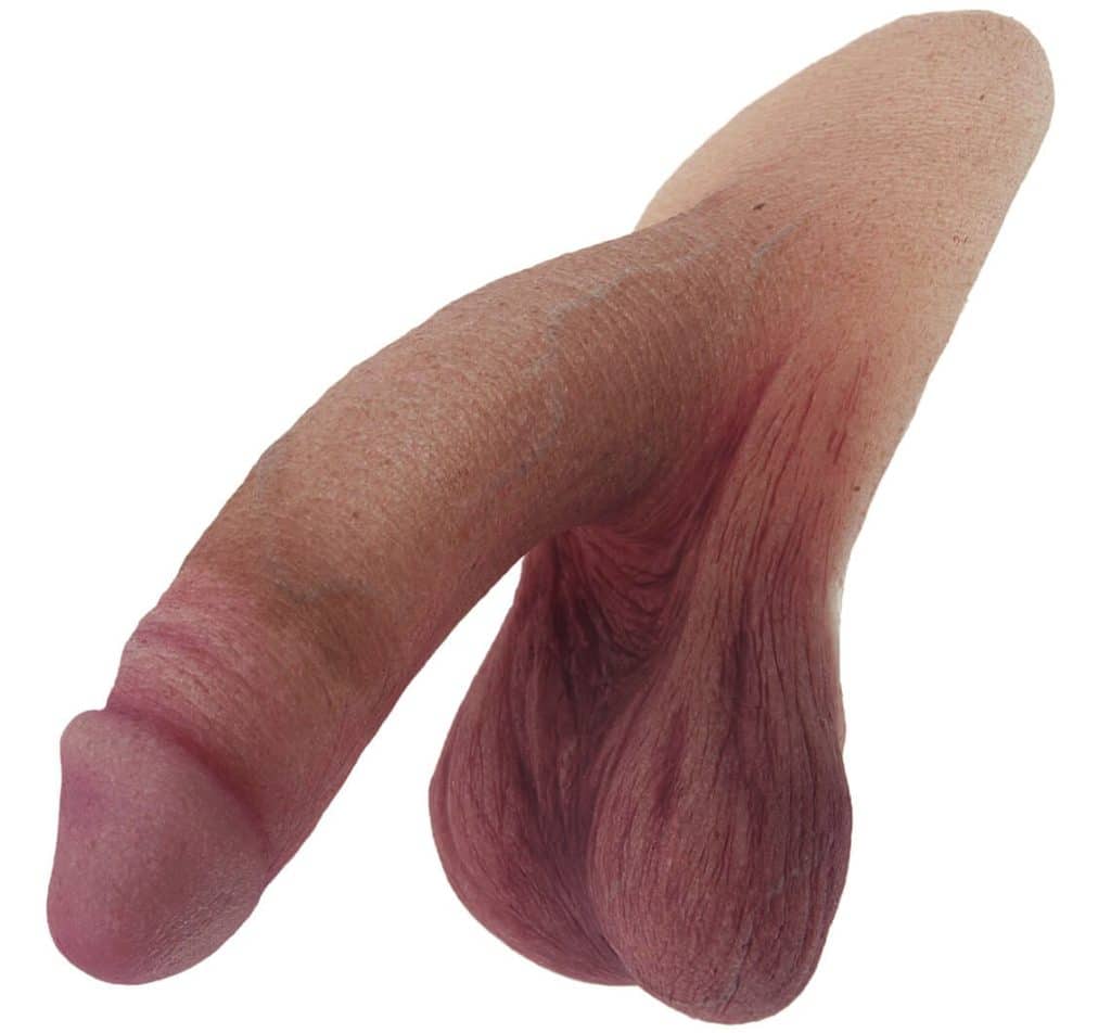 Best FTM Prosthetic: ReelMagik Pack n Play review