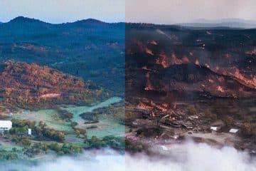 tamera: sex cult or utopia