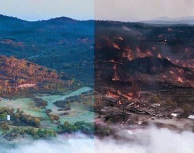 tamera: sex cult or utopia