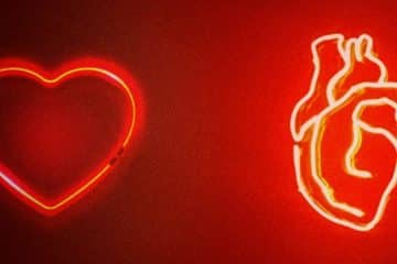 i love everything? benefits of not focusing on romance