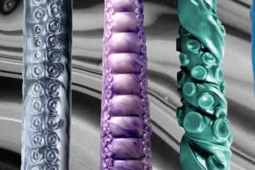 Best Tentacle Dildo Review